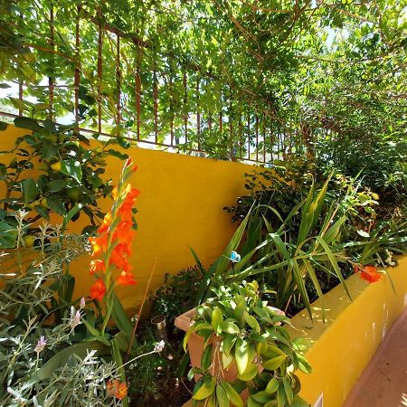 Casa Maestro Lelo - Acogedora Casa Rural Canaria Con Patios Y Jardines De Flores Las Palmas de Gran Canárias Exterior foto