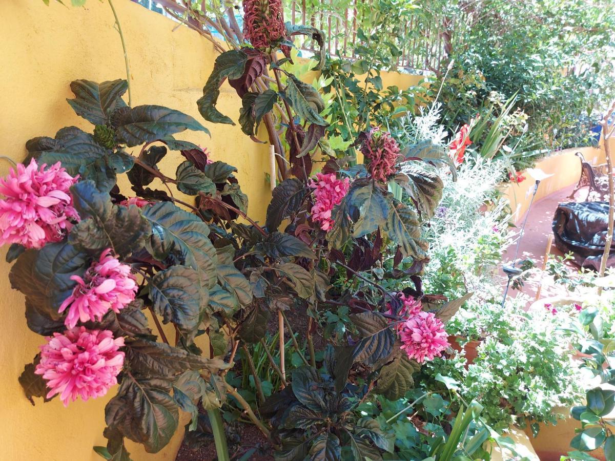 Casa Maestro Lelo - Acogedora Casa Rural Canaria Con Patios Y Jardines De Flores Las Palmas de Gran Canárias Exterior foto