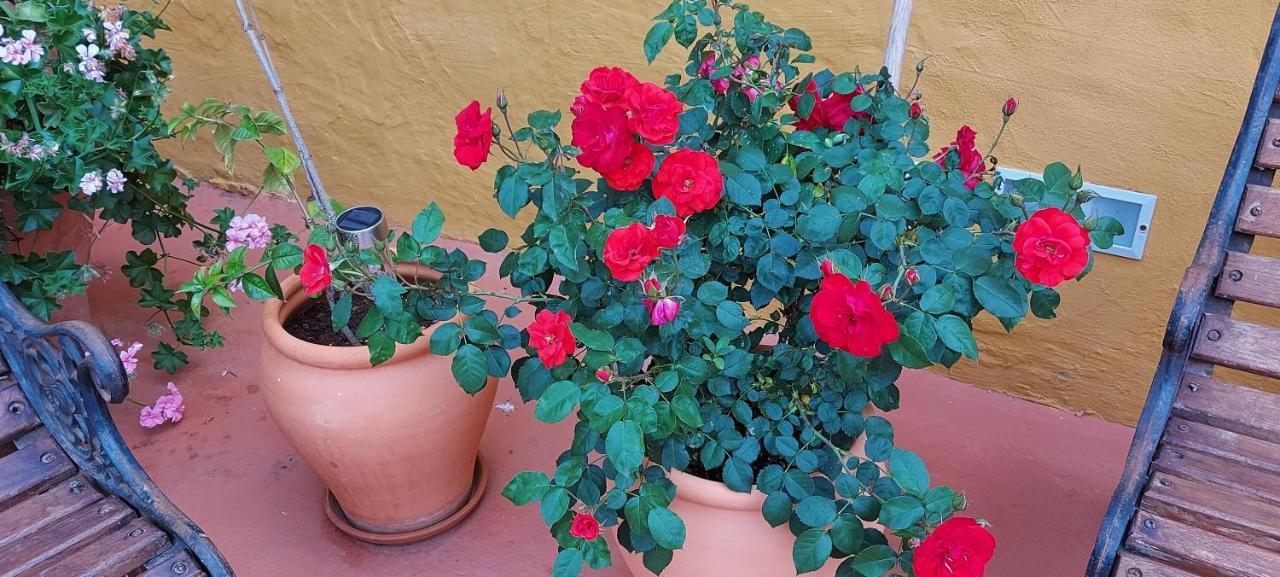 Casa Maestro Lelo - Acogedora Casa Rural Canaria Con Patios Y Jardines De Flores Las Palmas de Gran Canárias Exterior foto