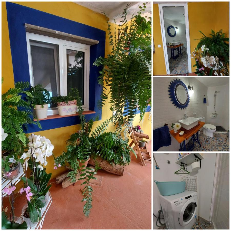 Casa Maestro Lelo - Acogedora Casa Rural Canaria Con Patios Y Jardines De Flores Las Palmas de Gran Canárias Exterior foto